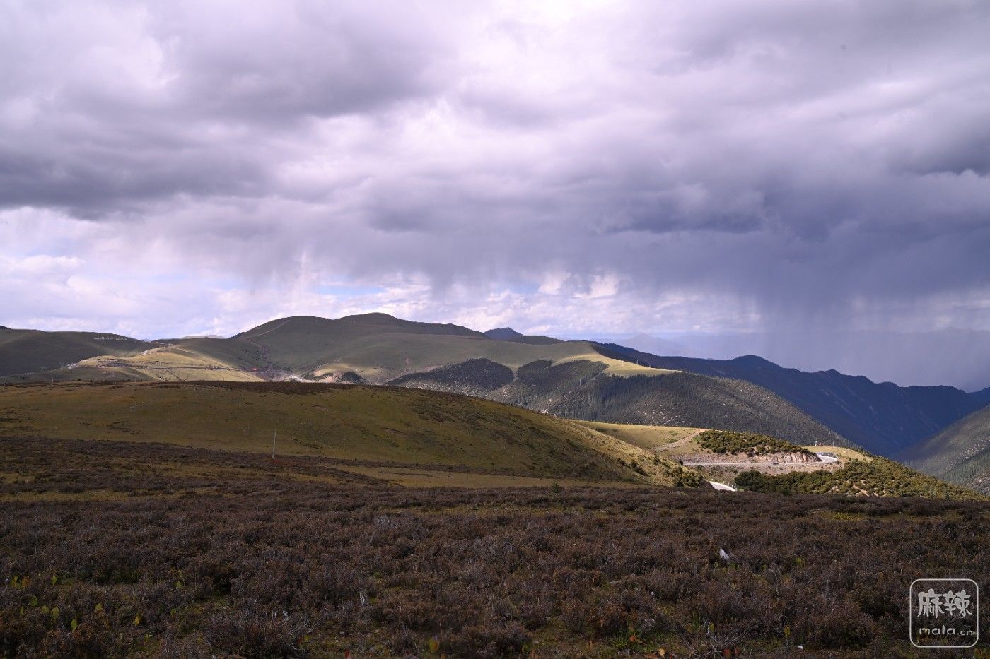 DSC_0264.JPG