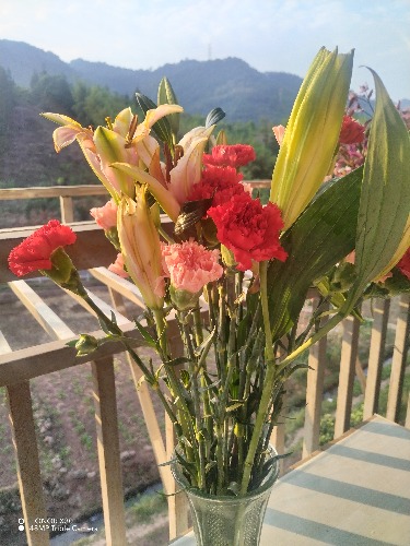 IMG_20260510_184156.jpg