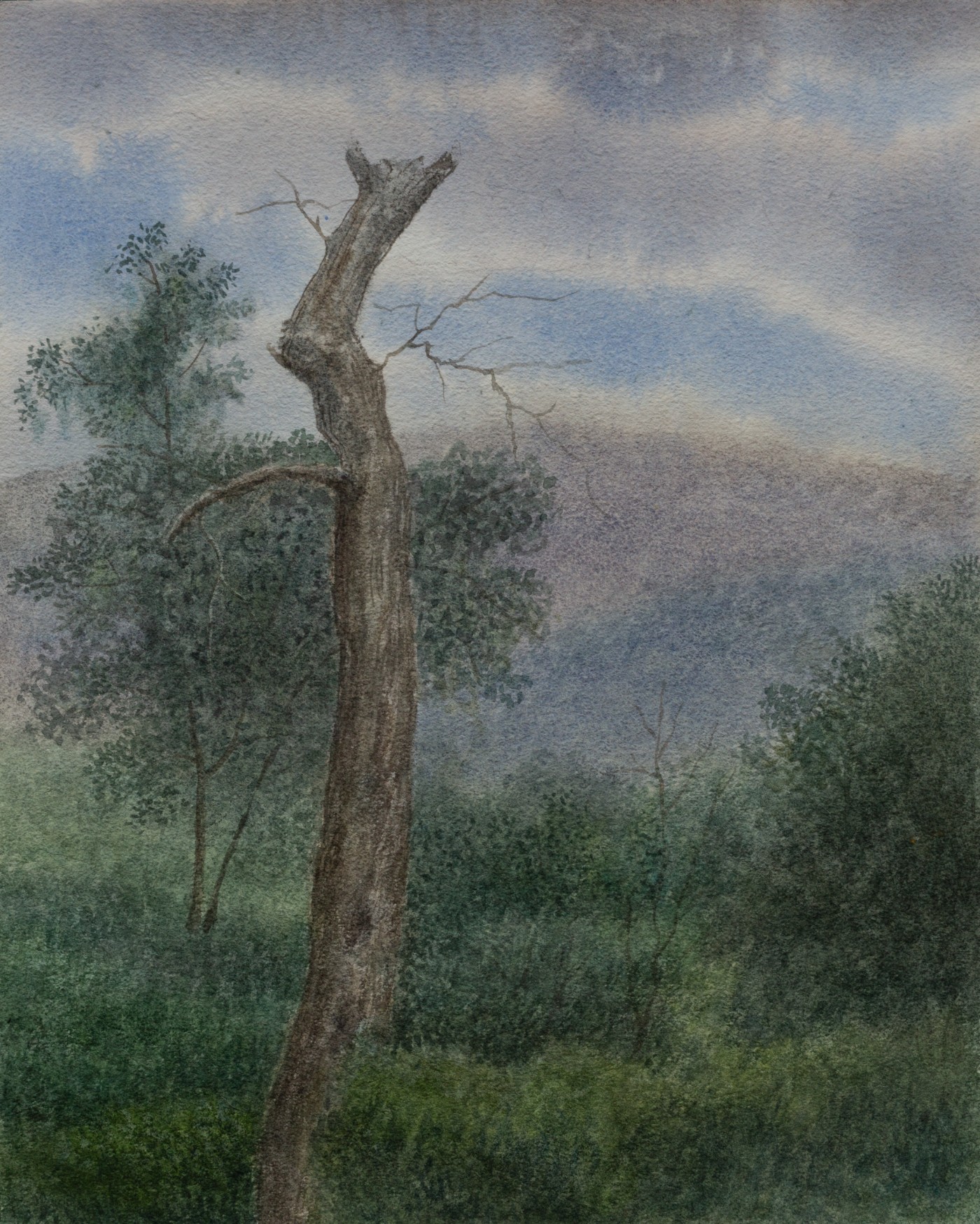 ˮ�ʻ���ɽ��ľ�⡷30x37cm.jpg