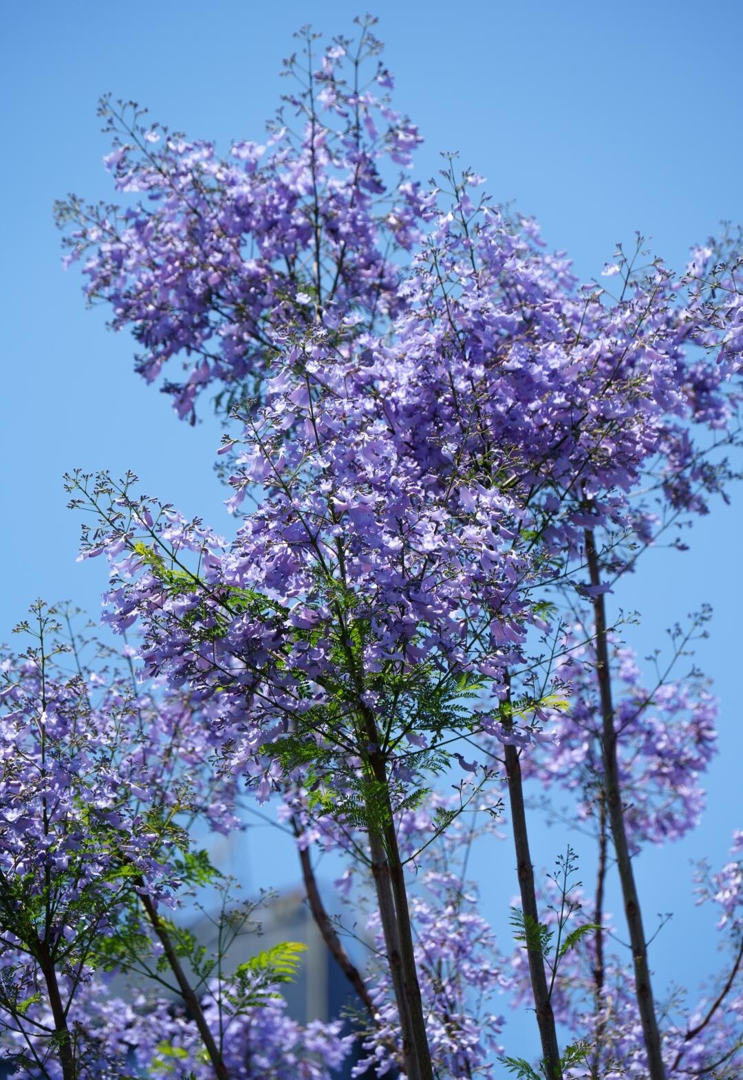 image_2.jpg