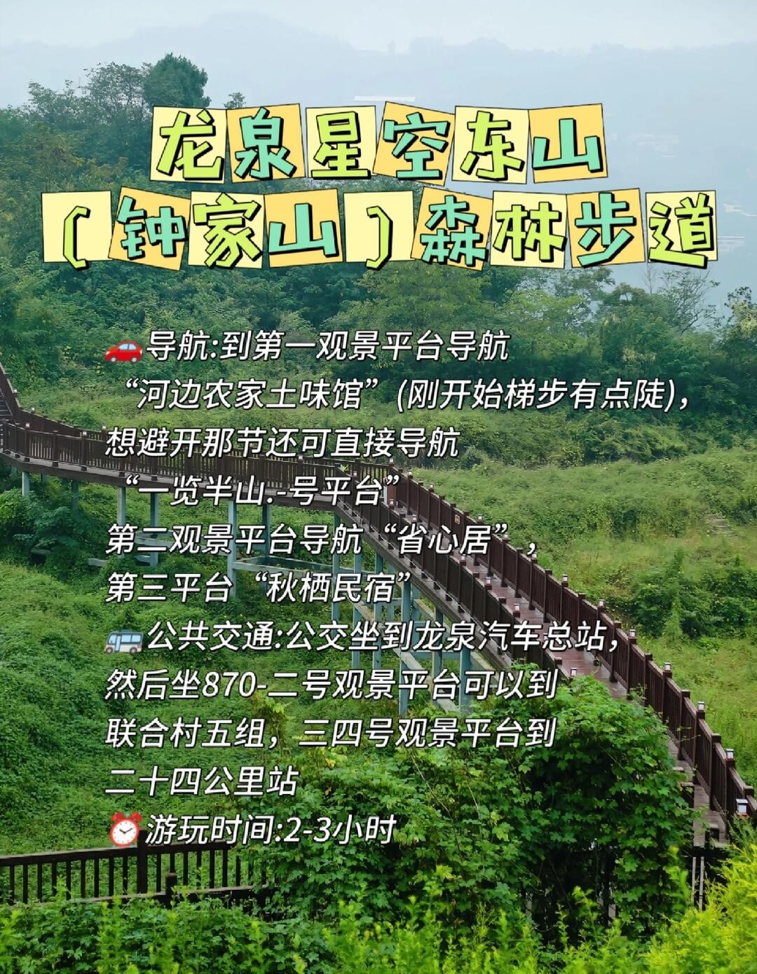 image_7.jpg