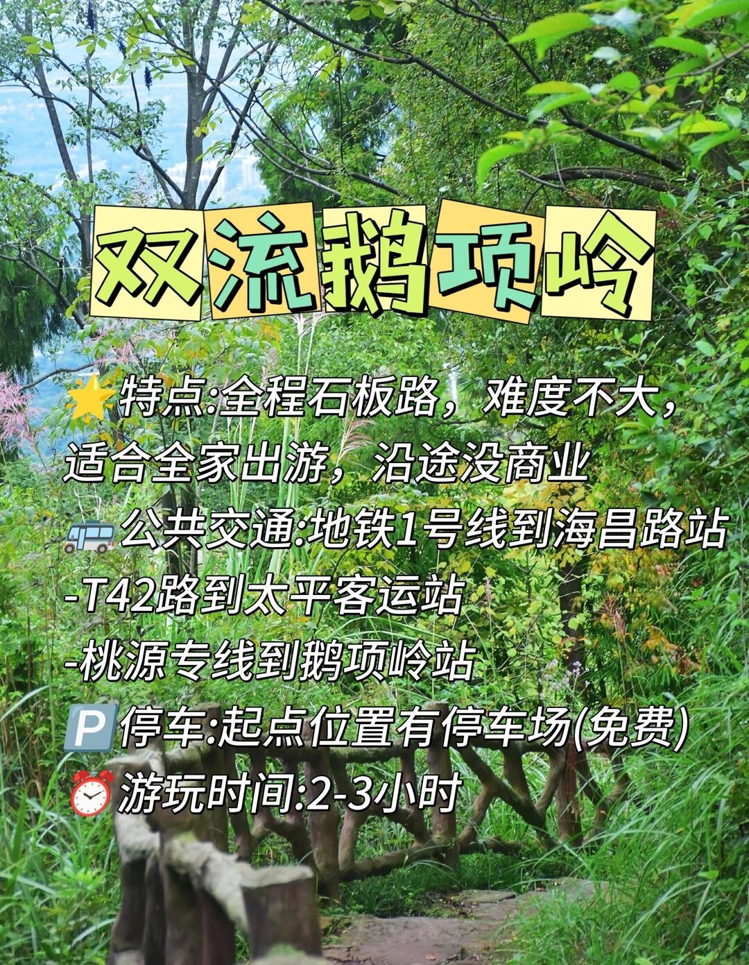 image_4.jpg