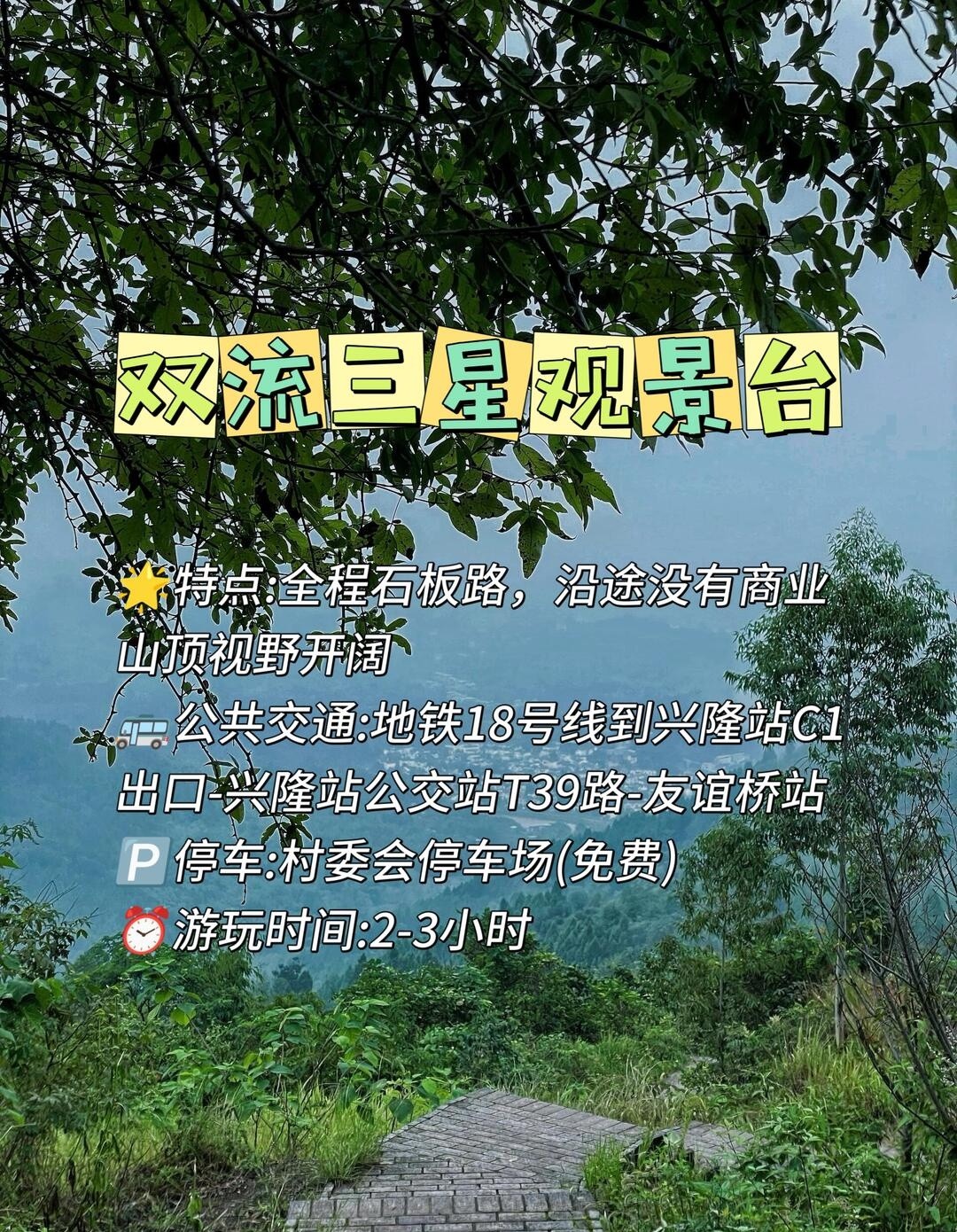 image_3.jpg