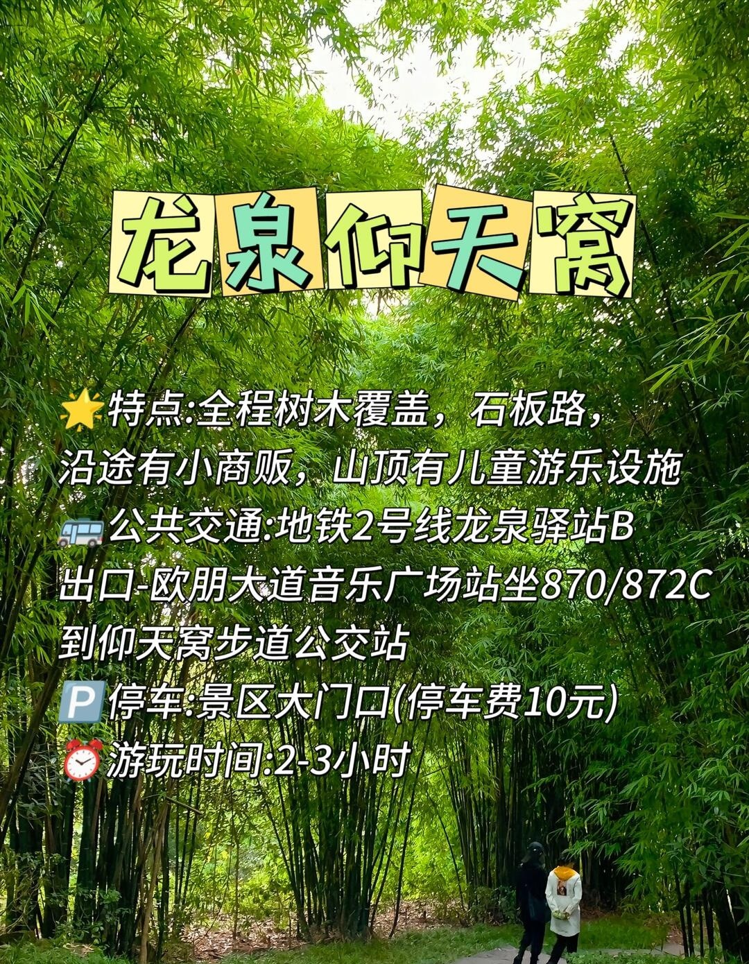 image_10.jpg