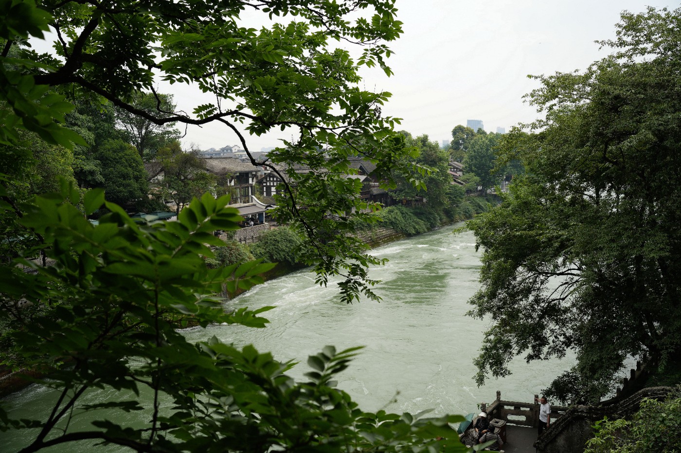 DSC04524_����.jpg