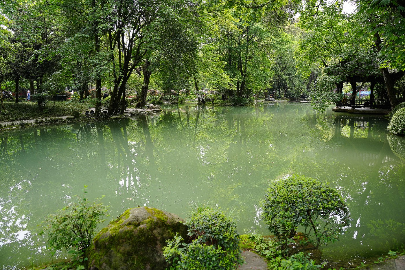 DSC04500_����.jpg