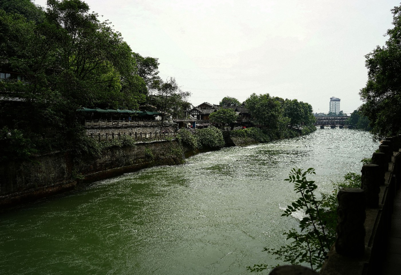 DSC04511_����.jpg