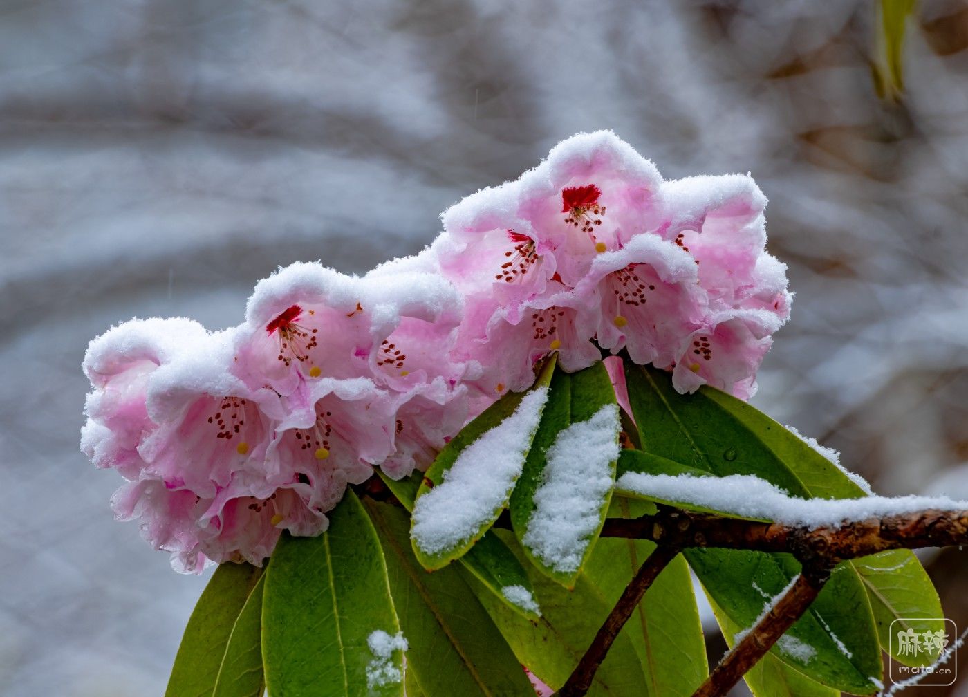 DSC_3941.jpg