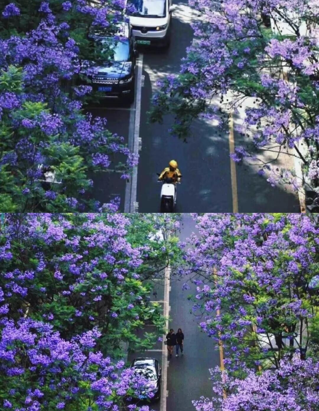 image_5.jpg