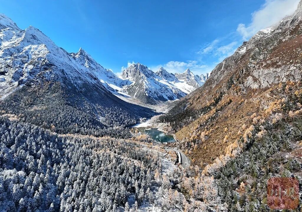 image_1.jpg