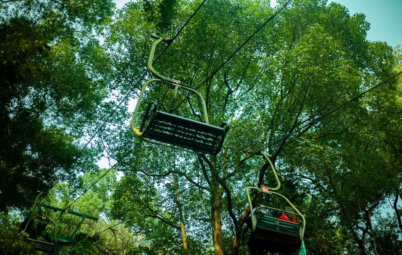 image_4.jpg
