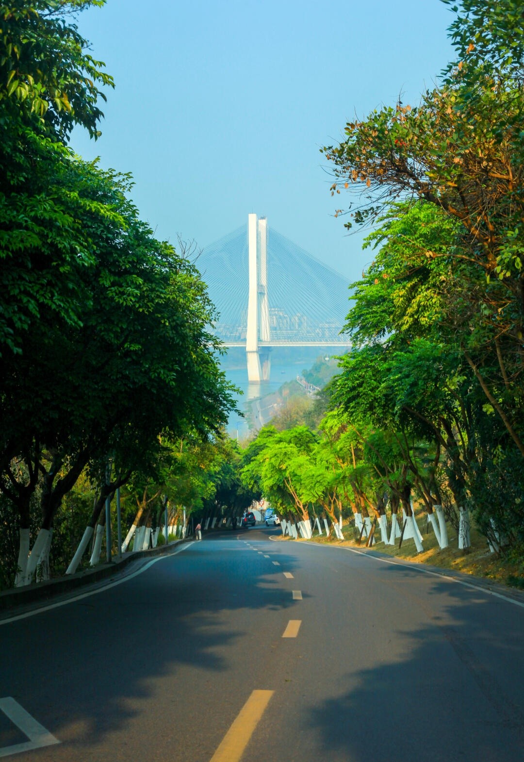 image_3.jpg