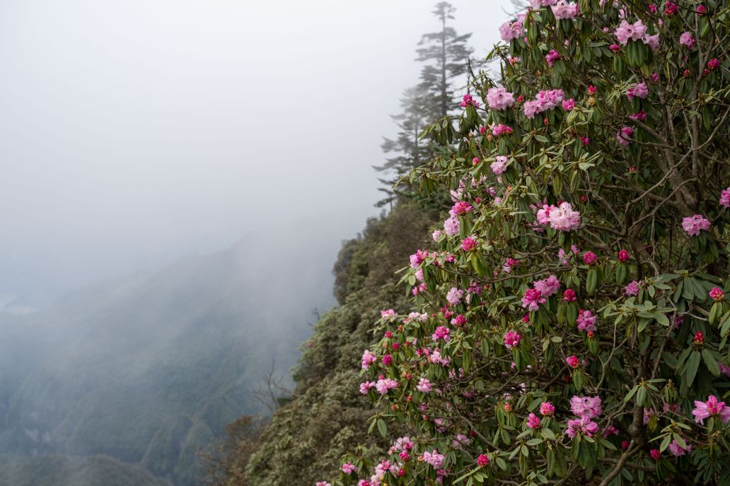 20260514170954front2_0_3258607_FhKoONQbhDx3x6IxUsAquWJgkhbo.jpg