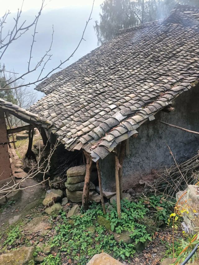 20260515003505front2_0_7898100_Fv8Bkl7oqfP-P-U5SifpX538zH4q.jpg