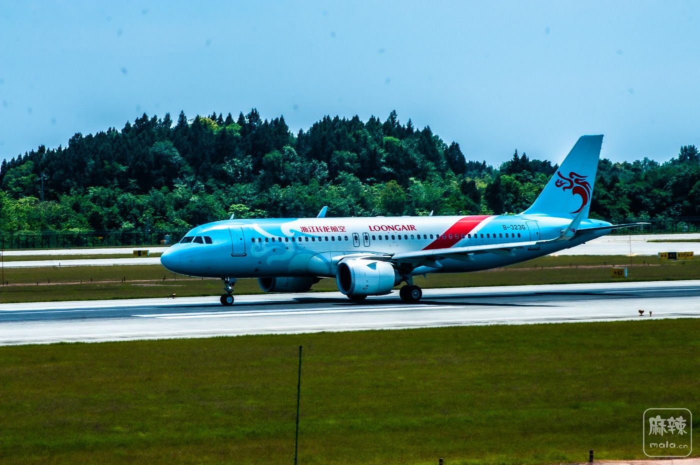 zp3-21.JPG