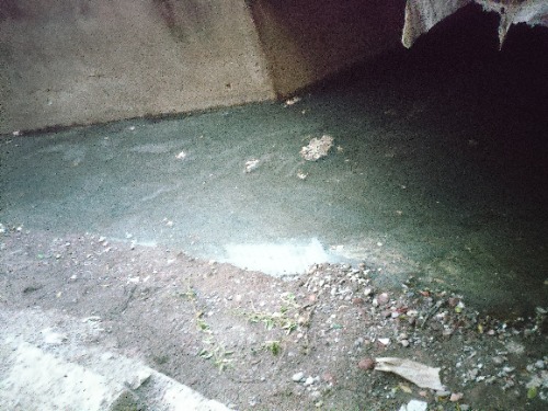 IMG20260515200547.jpg