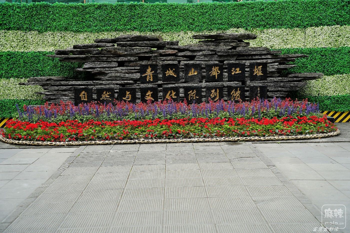 DSC04503_����.jpg