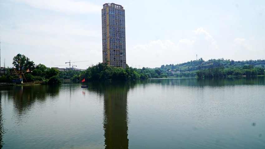 DSC01231_conew1.jpg