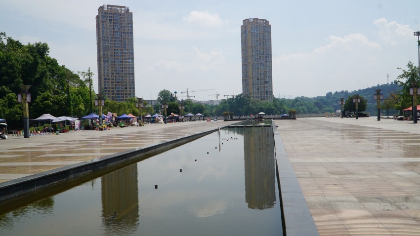 DSC01236_conew1.jpg