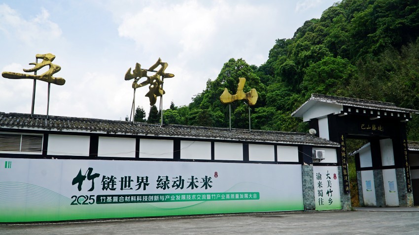 DSC01242_conew1.jpg