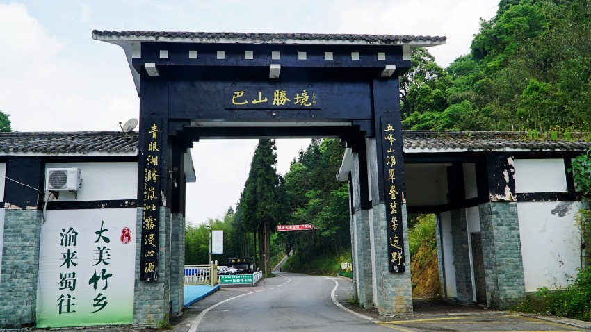 DSC01240_conew1.jpg