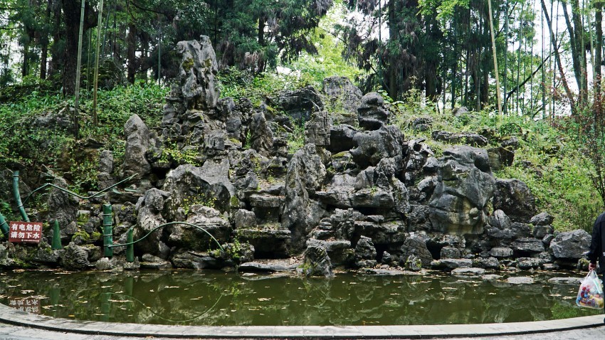 DSC01271_conew1.jpg