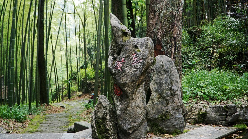 DSC01275_conew1.jpg