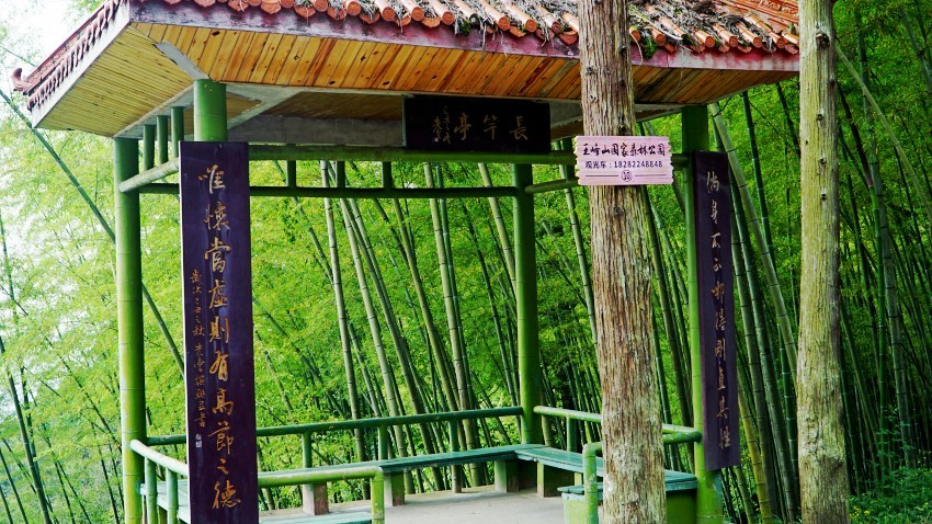 DSC01286_conew1.jpg