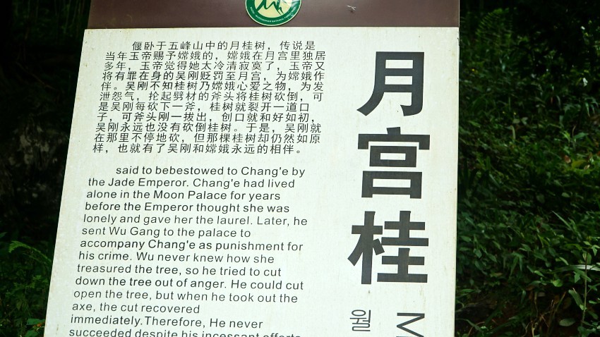 DSC01293_conew1.jpg