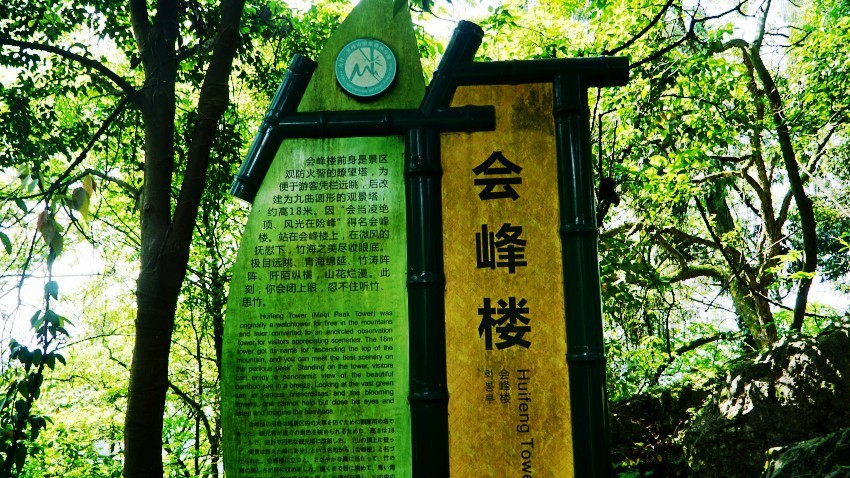DSC01295_conew1.jpg