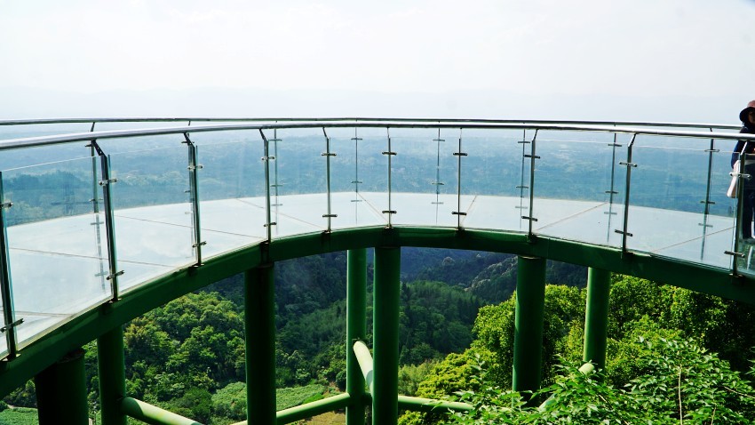 DSC01296_conew1.jpg