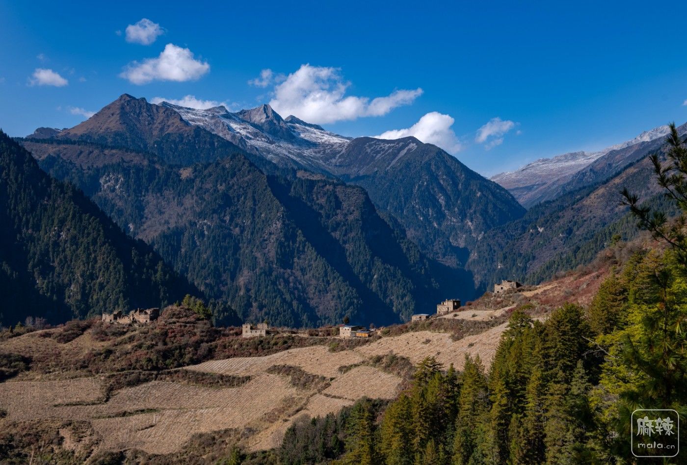 DSC_9564.jpg