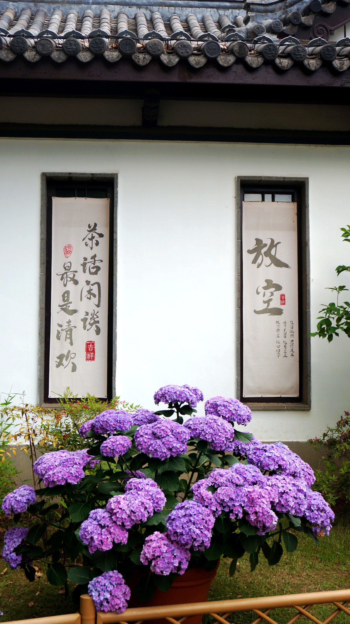 DSC06543.JPG
