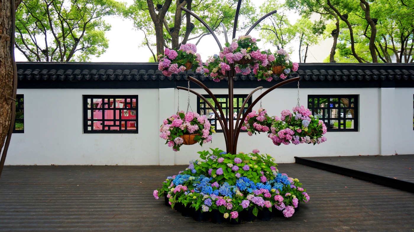 DSC06539.JPG