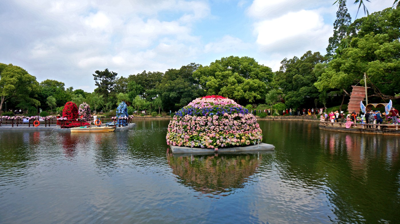 DSC06634.JPG