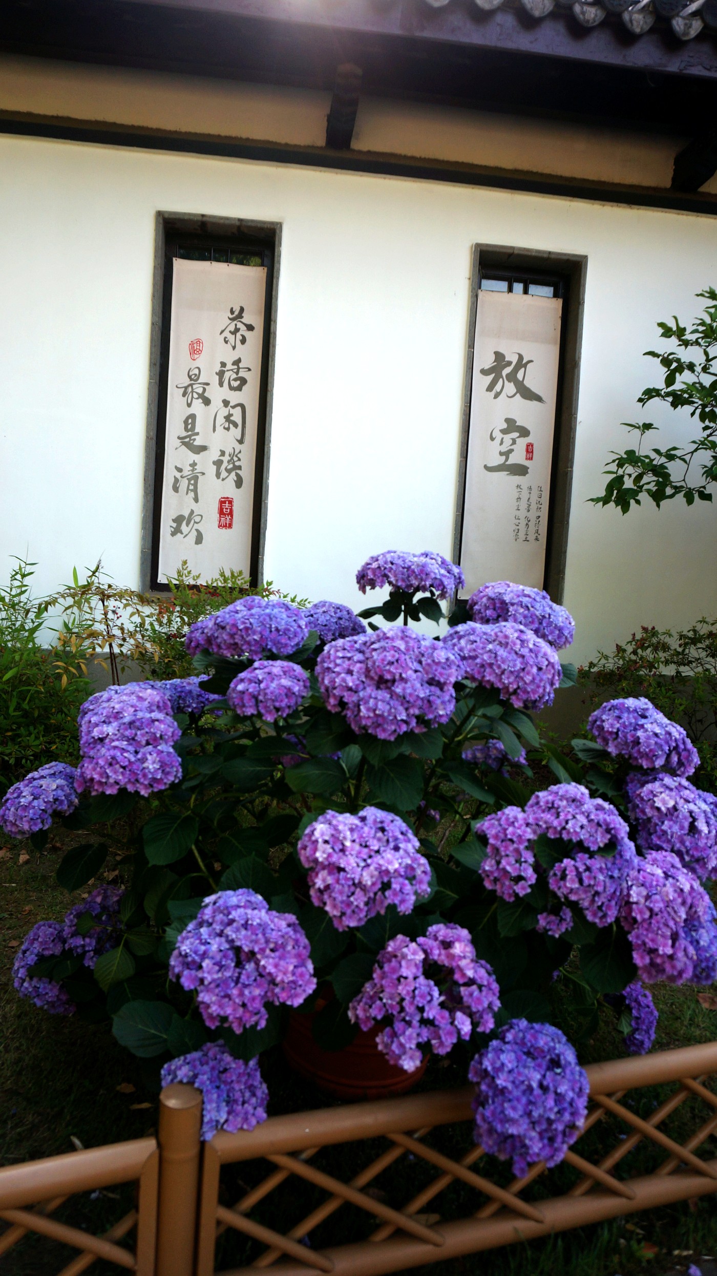 DSC06725.JPG
