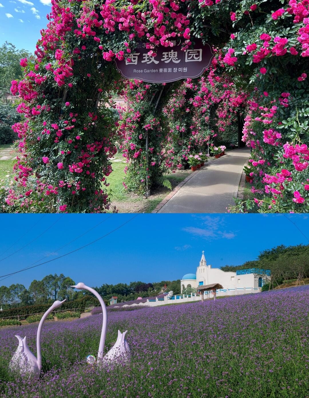 image_3.jpg
