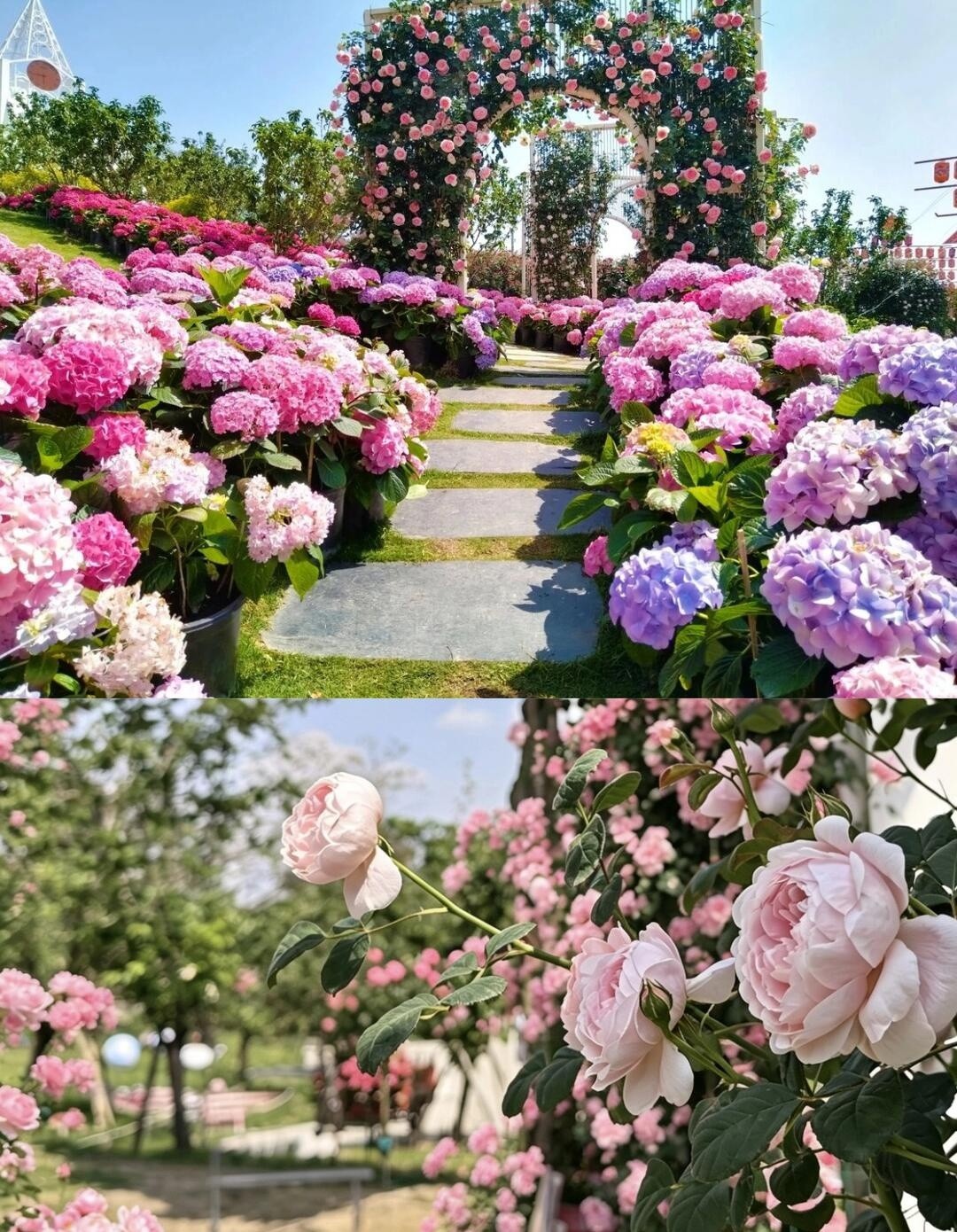image_5.jpg