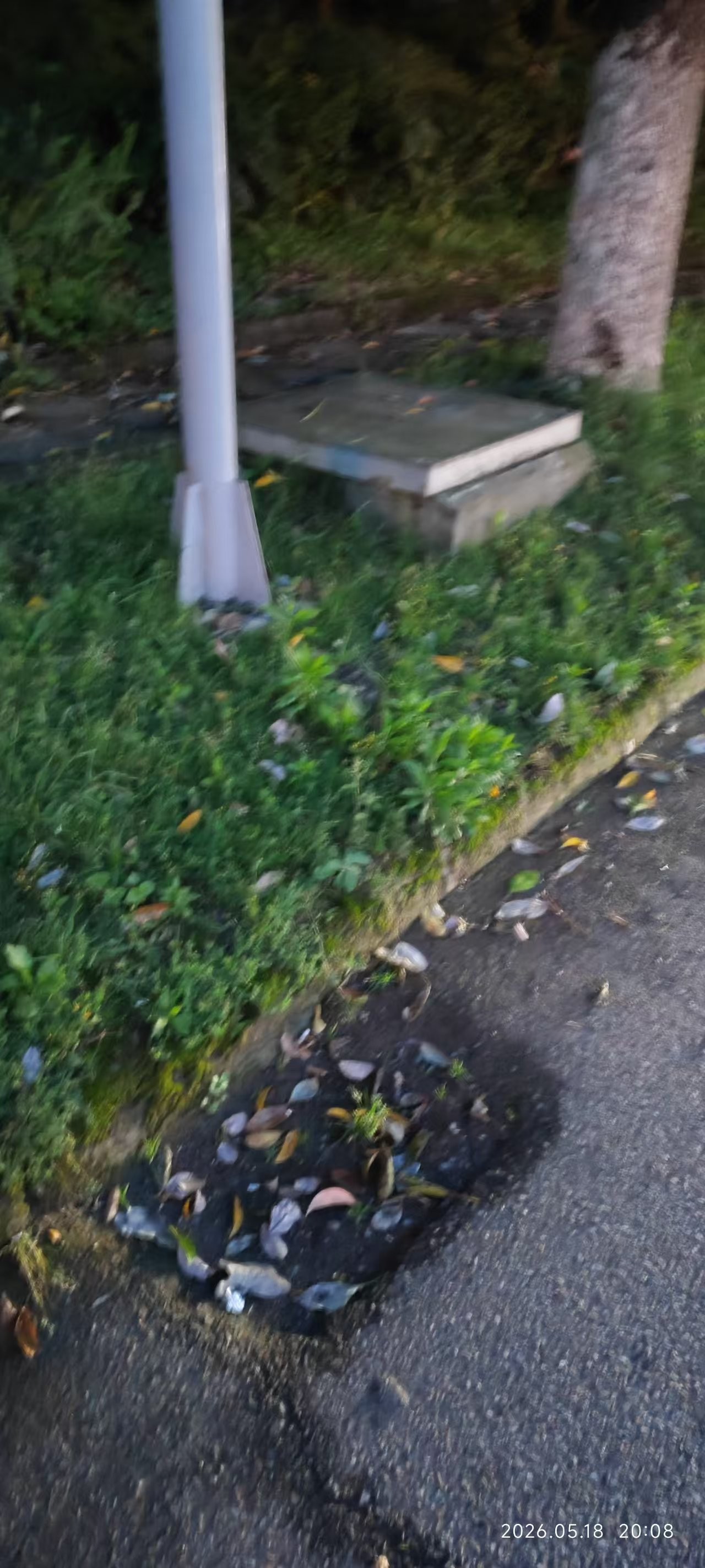 ΢��ͼƬ_20260518204153_328_2.jpg