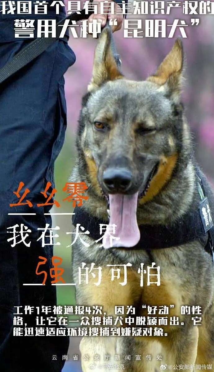 image_4.jpg