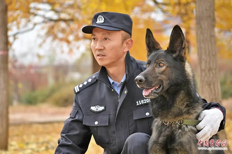 image_5.jpg