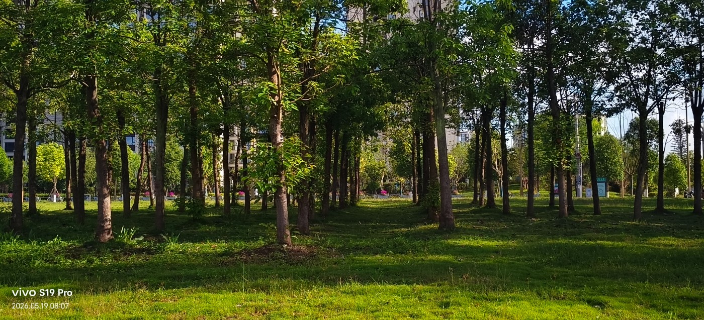 ΢��ͼƬ_20260519090254.jpg