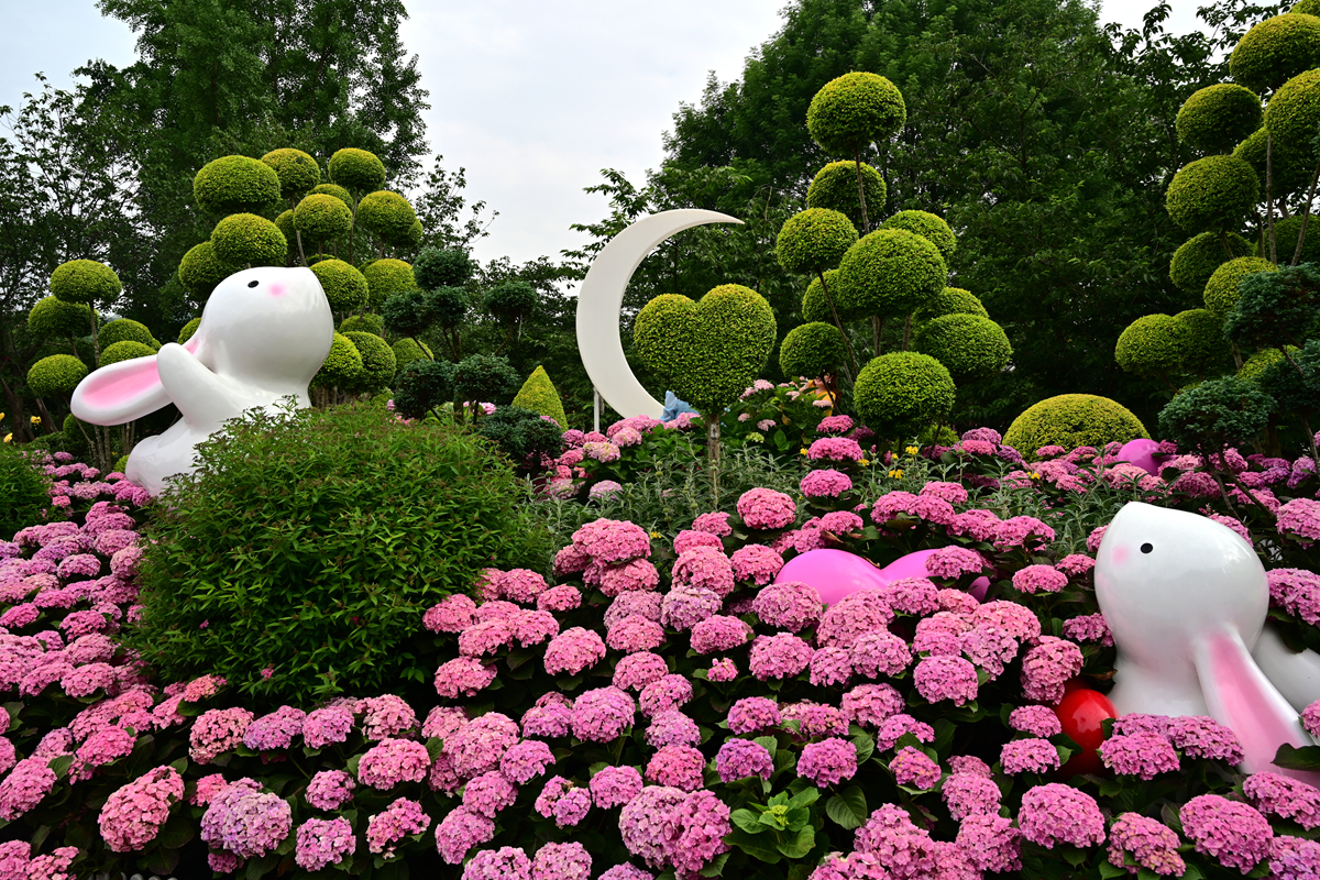 DSC_2620_����.jpg