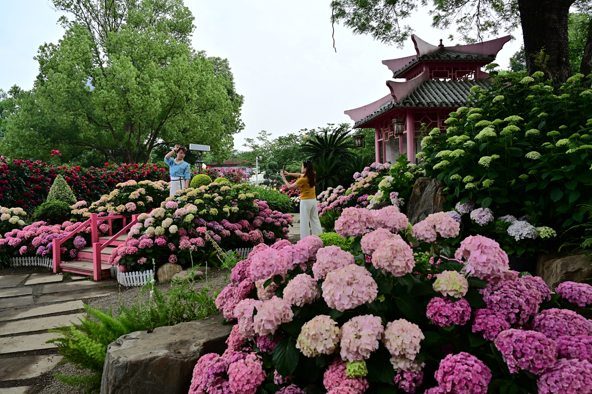 DSC_2629_����.jpg