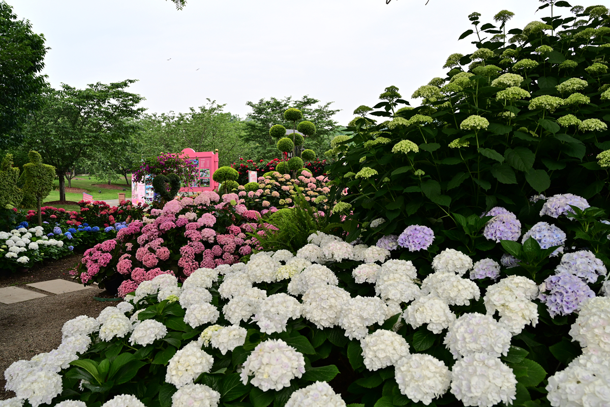 DSC_2631_����.jpg