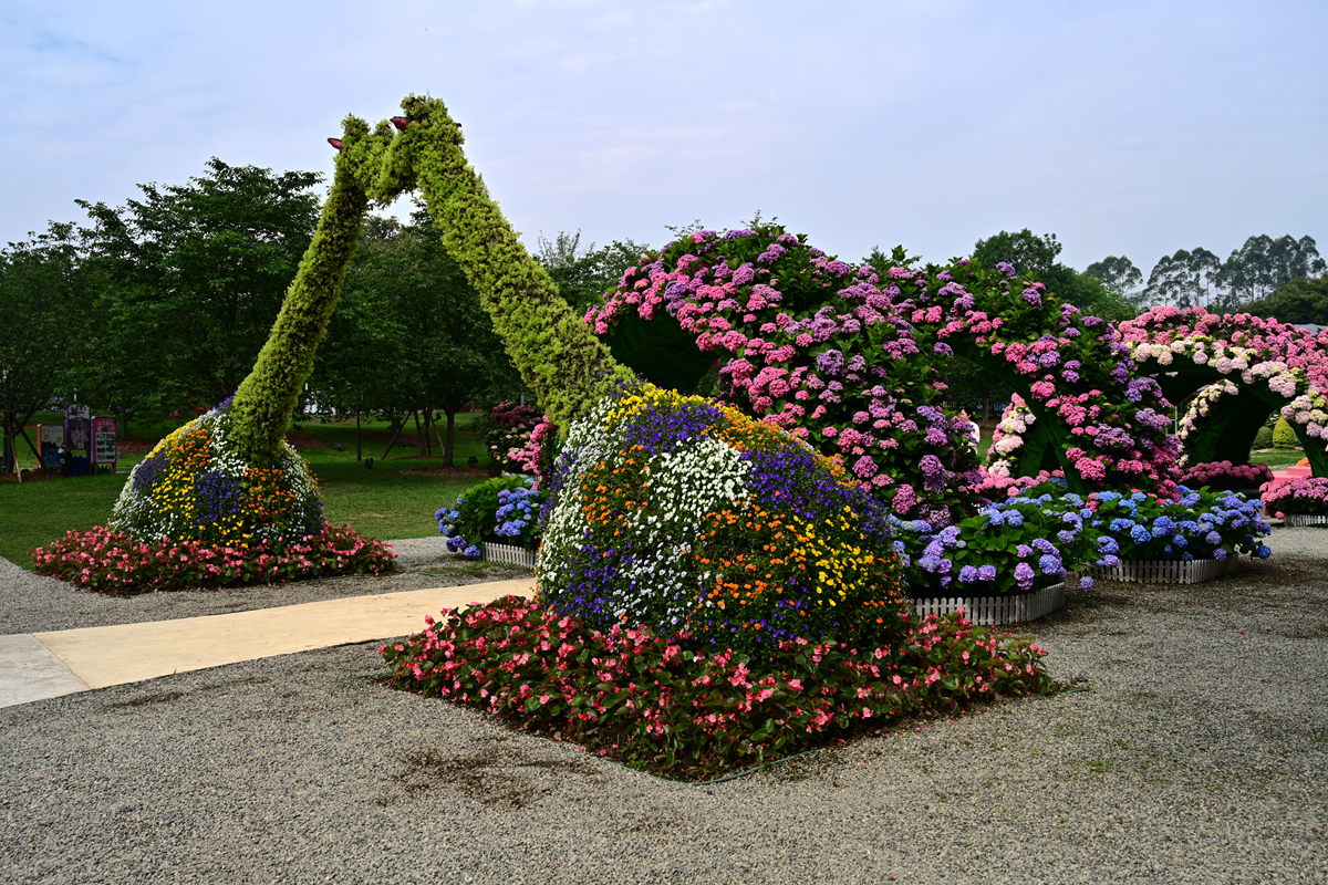 DSC_2640_����.jpg