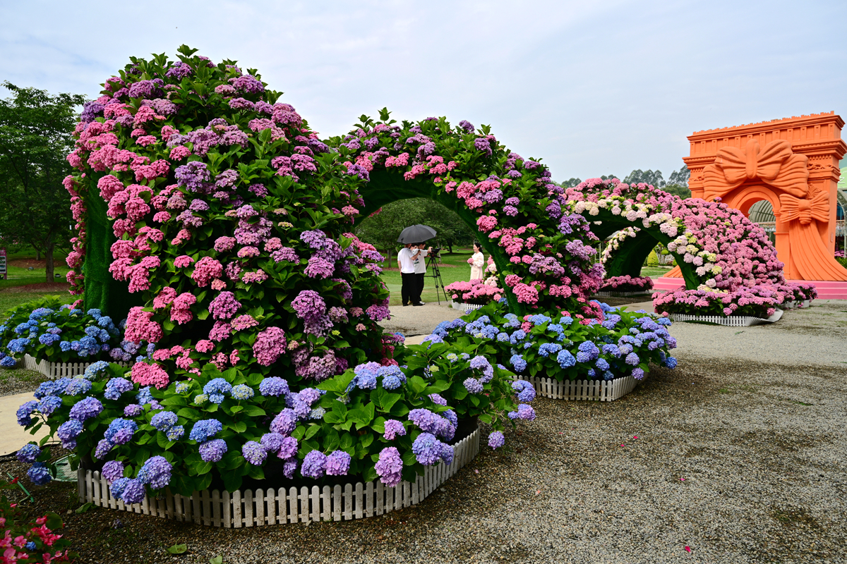 DSC_2643_����.jpg