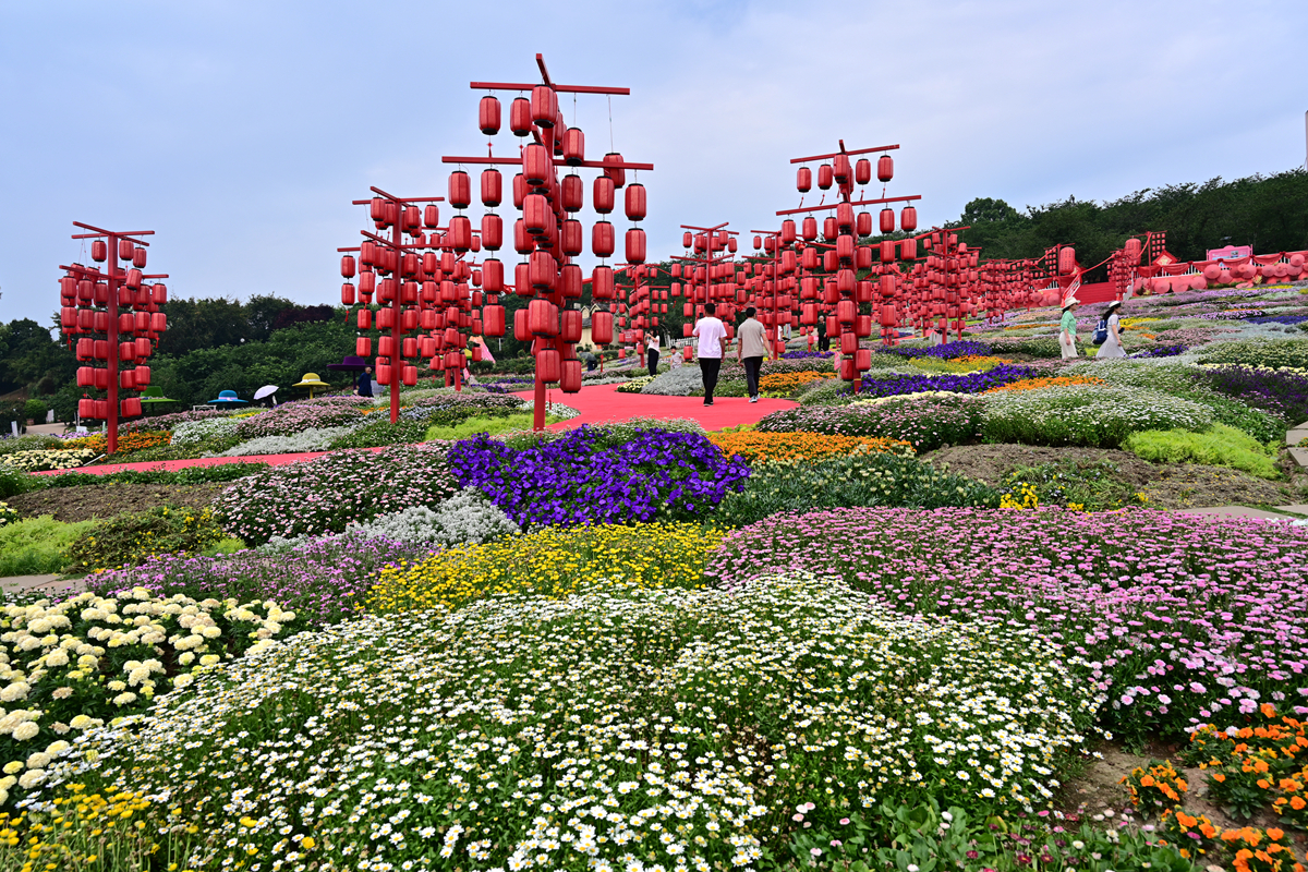 DSC_2689_����.jpg