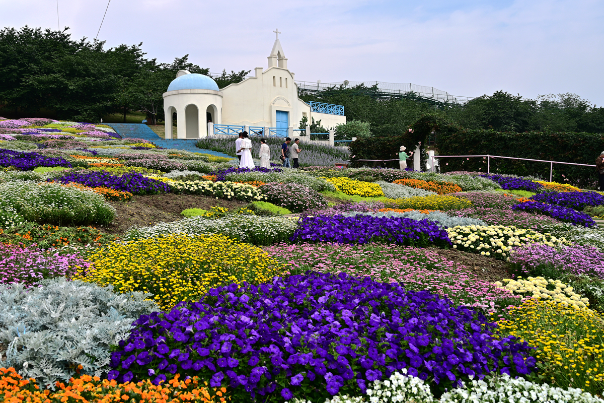 DSC_2692_����.jpg