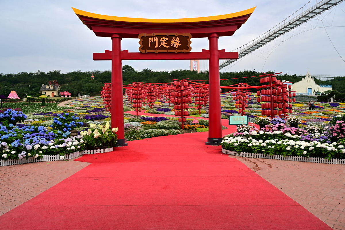 DSC_2694_����.jpg